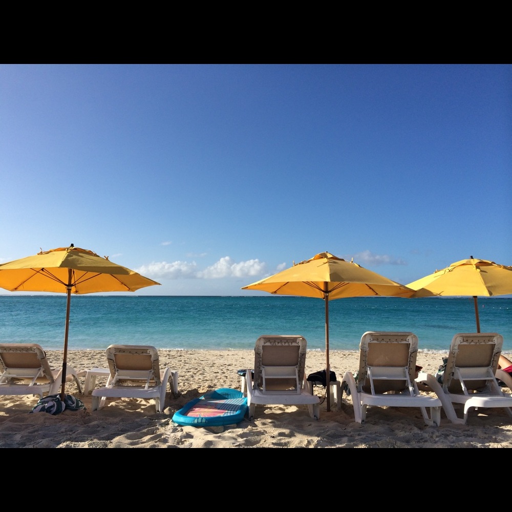 Meet your Posher, Robin